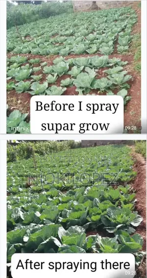 Supergro Crop Booster Fertilizer