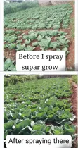 Supergro Crop Booster Fertilizer - 1