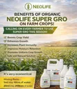 Supergro Crop Booster Fertilizer - 3