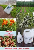 Supergro Crop Booster Fertilizer - 4