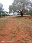 Prime 2 Acres Commercial & Residential Land for Sale - Makutano - 1