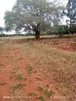 Prime 2 Acres Commercial & Residential Land for Sale - Makutano - 2