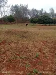 Prime 2 Acres Commercial & Residential Land for Sale - Makutano - 3