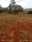 Prime 2 Acres Commercial & Residential Land for Sale - Makutano - 4