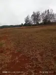 Prime 2 Acres Commercial & Residential Land for Sale - Makutano - 5