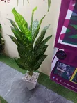Artificial Plants for Interior/Exterior - 1