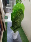 Artificial Plants for Interior/Exterior - 2