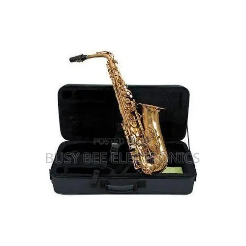 Classic Professional Alto Saxophone with Case - 1