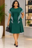 Classic and Elegant Women's Dress - 3
