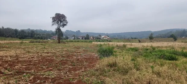 Prime 8 Acres for Sale in Kerarapon - 1