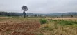 Prime 8 Acres for Sale in Kerarapon - 1