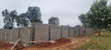 Prime 8 Acres for Sale in Kerarapon - 2