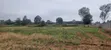 Prime 8 Acres for Sale in Kerarapon - 3