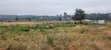 Prime 8 Acres for Sale in Kerarapon - 4