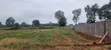 Prime 8 Acres for Sale in Kerarapon - 5