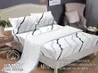 Cotton Fitted Bedsheet Set - Brand New - 2