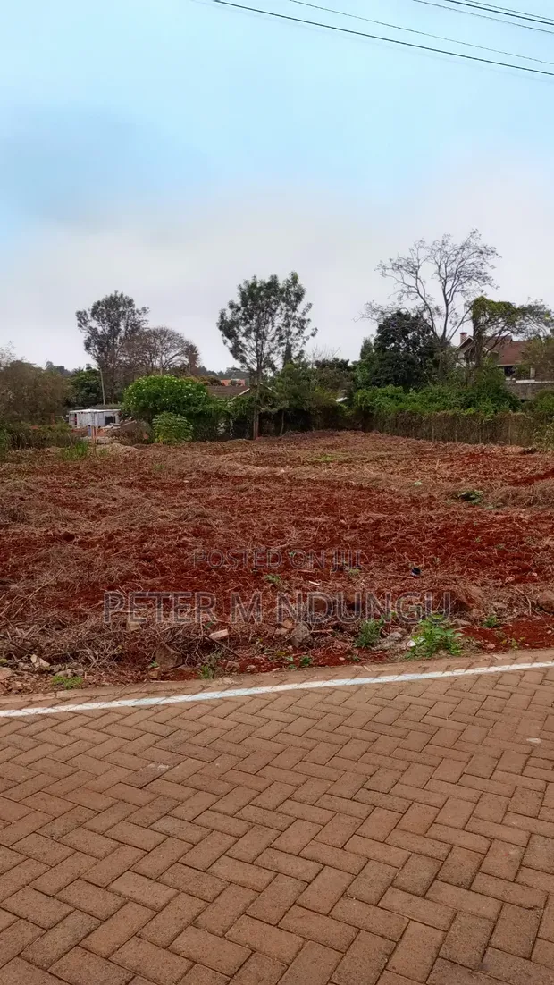 Mushrooms Gated Estate: Prime 1/2 Acre Plot - 1