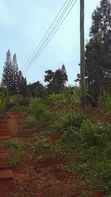 Mushrooms Gated Estate: Prime 1/2 Acre Plot - 5