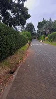 Muthithi Gardens - 1/2 Acre Residential Land, Kiambu Road - 3