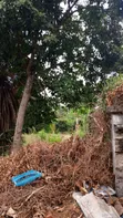 Muthithi Gardens - 1/2 Acre Residential Land, Kiambu Road - 5