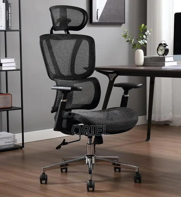Ergonomic Orthopedic Office Chair - High-Back - 1