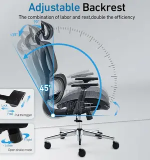Ergonomic Orthopedic Office Chair - High-Back