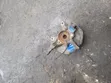 Suzuki Wagon R Wheel Hubs (Used) - 1