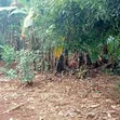 Prime 0.75-Acre Development Land for Lease - Thindigua, Kiambu - 3