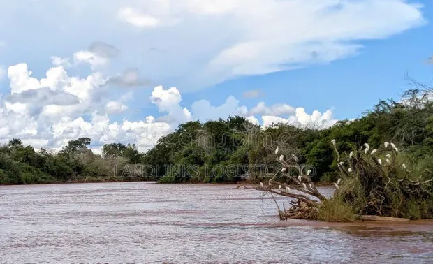 1000 Acres for Lease in Tana River for Farming - 1