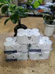 Luminarc Temp White Essence Mugs (32cl, 6 Pcs) - 2