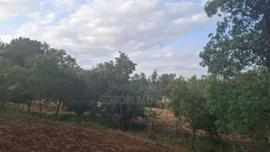 Mugumo Estate Kamiti Road Prime 1/4 Acre Plot