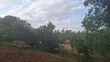 Mugumo Estate Kamiti Road Prime 1/4 Acre Plot - 1