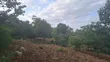 Mugumo Estate Kamiti Road Prime 1/4 Acre Plot - 3