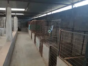 50x100 Plot with 5 Rental Units in Ruiru Kamakis Vision Park