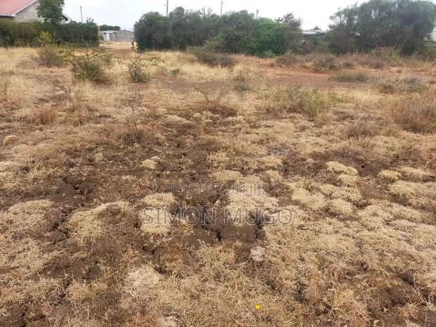 Juja Kalimoni Prime 6 Acres - Townhouses or Godowns - 1