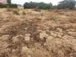 Juja Kalimoni Prime 6 Acres - Townhouses or Godowns - 1