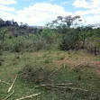 Prime 1-Acre Virgin Land - 200m from Tarmac - 2