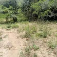 Prime 1-Acre Virgin Land - 200m from Tarmac - 3