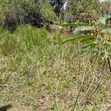 Prime 1-Acre Virgin Land - 200m from Tarmac - 5