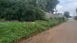 Riverside Drive 2.5 Acres Land for Sale - 2