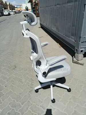 Elegant Laurel Ergonomic Executive Chair - White Grey