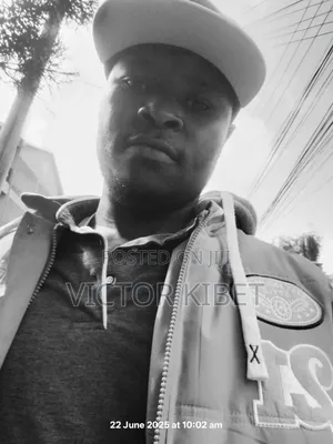 Truck Driver CV - Victor