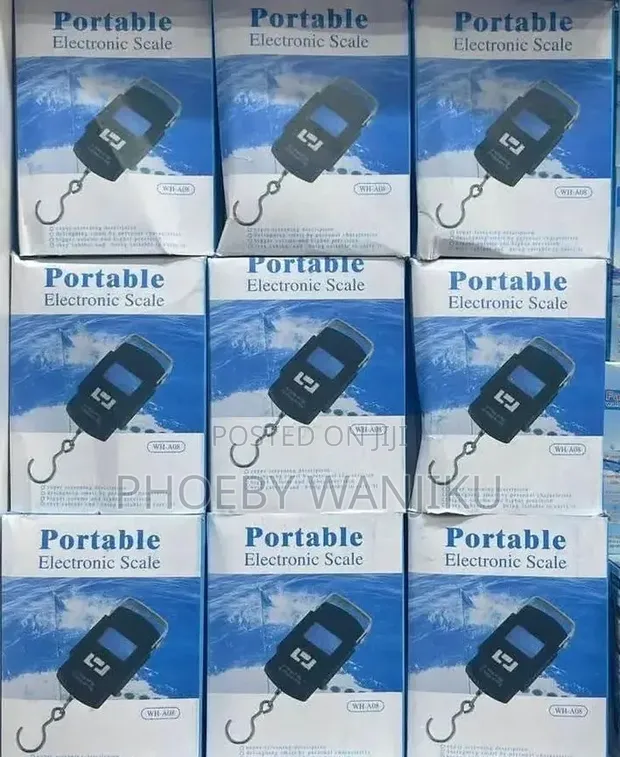 Portable Electronic Weighing Scale - 1
