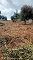 Affordable Controlled Residential Plot in Juja - 5
