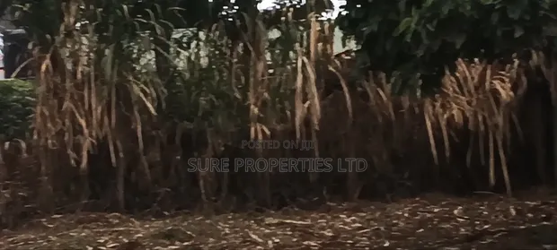 Prime 50x100 Residential Plot in Kikuyu Thamanda - 1