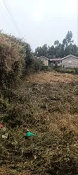 Tilisi 4 Acres Touching Tarmac - 3