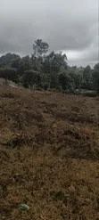 Tilisi 4 Acres Touching Tarmac - 4