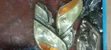 Toyota Mark II Blit 2009 Xenon Headlight - 1