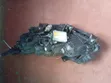 Mazda Biante 2010 Xenon Headlight - 2