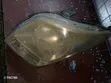Suzuki Wagon R Flair 2008 Headlight - 1